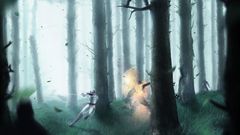 Forest by orioto nature