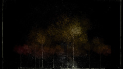 Forest by sendal nature