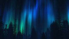 Forests aurora borealis