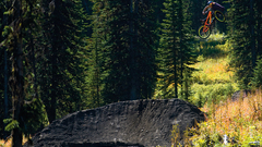 Forests biker Sports extreme