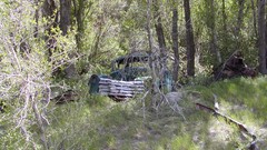 Forests Chevrolet vehicles Franklin