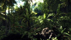 Forests crysis