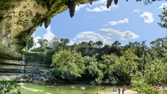 Forests Great forest