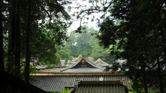 Forests rooftops grove Japanese