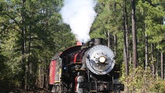 Forests trains vehicles