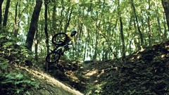 Forests Ukraine extreme sports