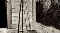 Forks Northern Oregon farm