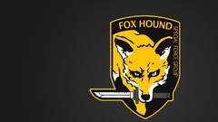 Fox Hound