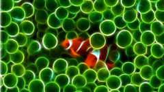 Fractalius clownfish