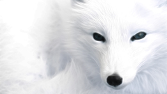 Fractalius drawings arctic fox
