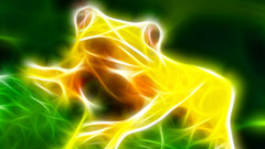 Fractalius Frogs