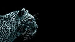 Fractalius Leopards