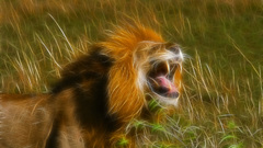 Fractalius Lions Animals