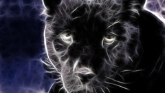 Fractalius panthers black panther