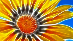 Fractalius Sunflowers