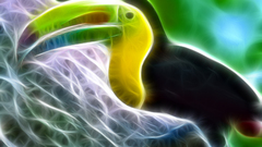 Fractalius toucans