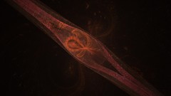 Fractals abstract sp34k