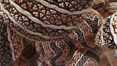 Fractals cells fractal 3d renders corrupted sp34k