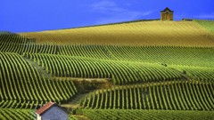 France panorama Champagne
