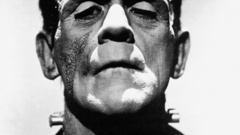 Frankenstein grayscale monochrome