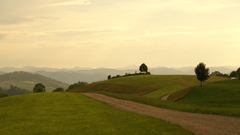 Freudenberg switzerland World