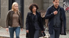 Fringe joshua jackson Georgina Haig