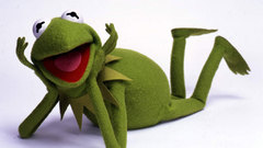 Frogs kermit the frog