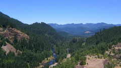 From cougar dam