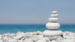 From The yahoo email