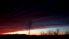 Frontal system by toetag