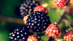 Fruit Food and Drinks