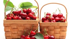 Fruits Basket cherries fruits