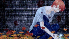 Fruits basket Manga Anime