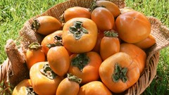 Fruits baskets persimmons