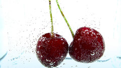 Fruits cherries white background