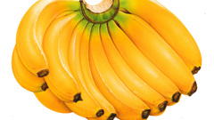 Fruits food bananas white