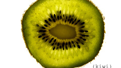Fruits food kiwi white