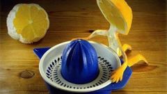 Fruits funny sex lemons