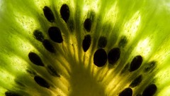 Fruits kiwi macro