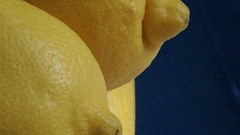 Fruits lemons innuendo