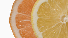 Fruits oranges orange slices