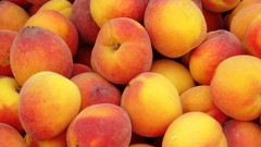 Fruits peaches