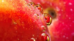 Fruits peaches water drops