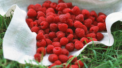 Fruits raspberries