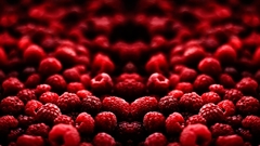 Fruits raspberries