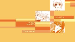 Fruitsbasket Manga Anime