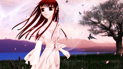 Fruitsbasket Manga Anime