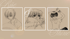 Fruitsbasket Manga Anime