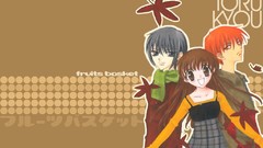 Fruitsbasket Manga Anime
