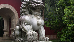 Fu lion nanjing Lions